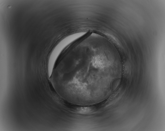 X0000093250361200710101445