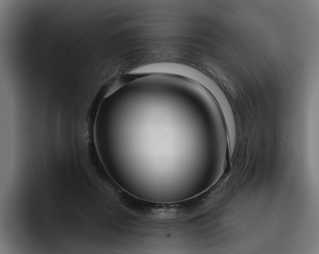 X0000093250362200710101445