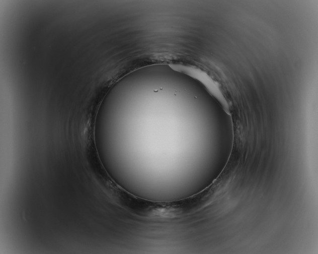 X0000093250364200710101445