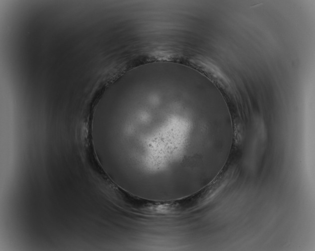 X0000093250365200710101445