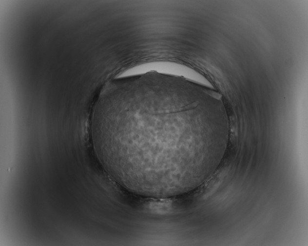 X0000093250369200710101445