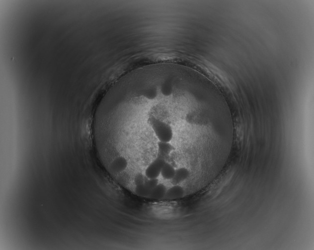 X0000093250373200710101445