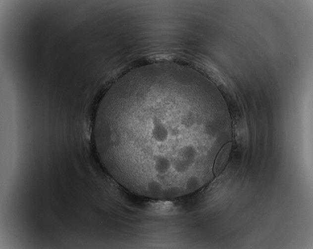 X0000093250374200710101445