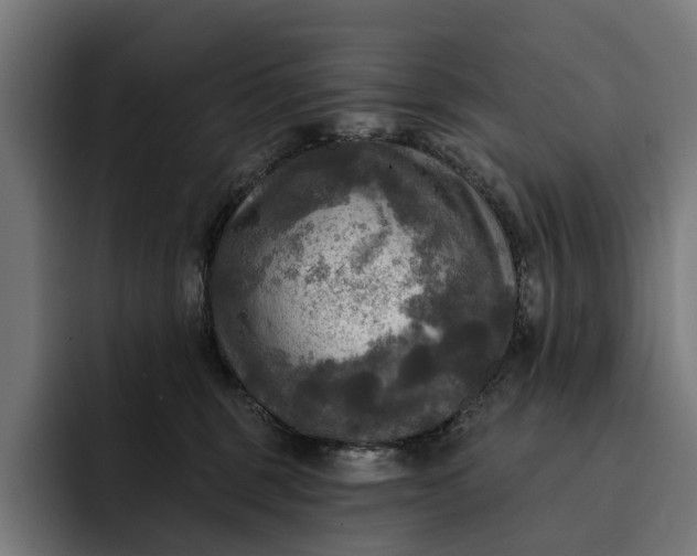 X0000093250375200710101445