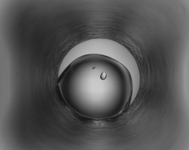 X0000093250376200710101445