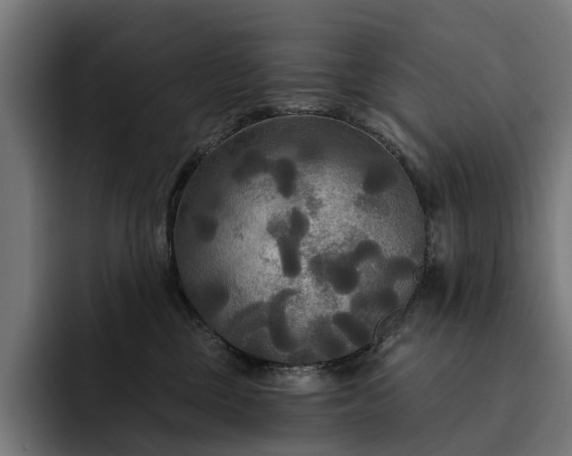 X0000093250377200710101445