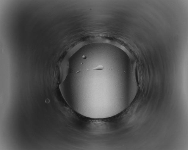 X0000093250380200710101445