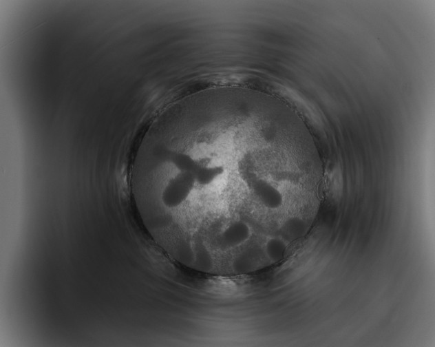 X0000093250381200710101445