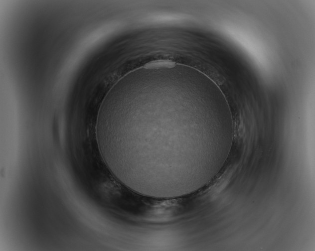 X0000093250382200710101445