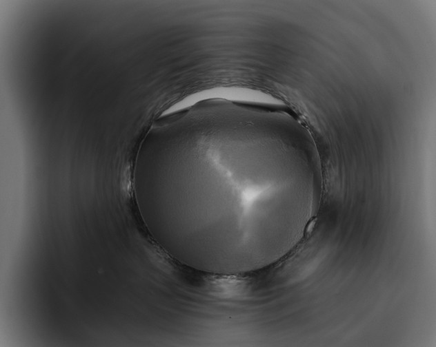 X0000093250383200710101445