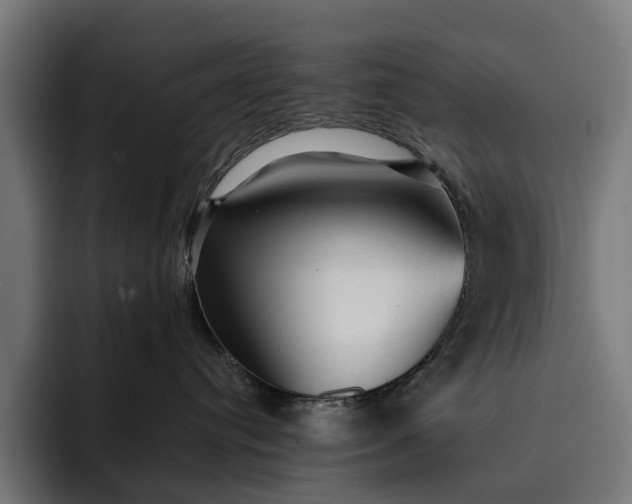 X0000093250384200710101445