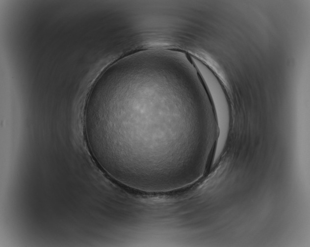 X0000093250385200710101444