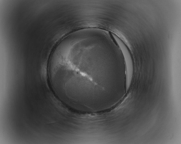 X0000093250386200710101444