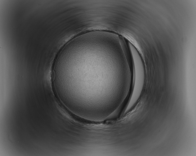 X0000093250389200710101444