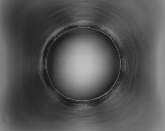 X0000093250392200710101444