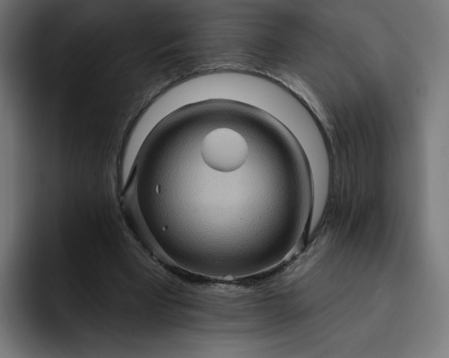 X0000093250393200710101444