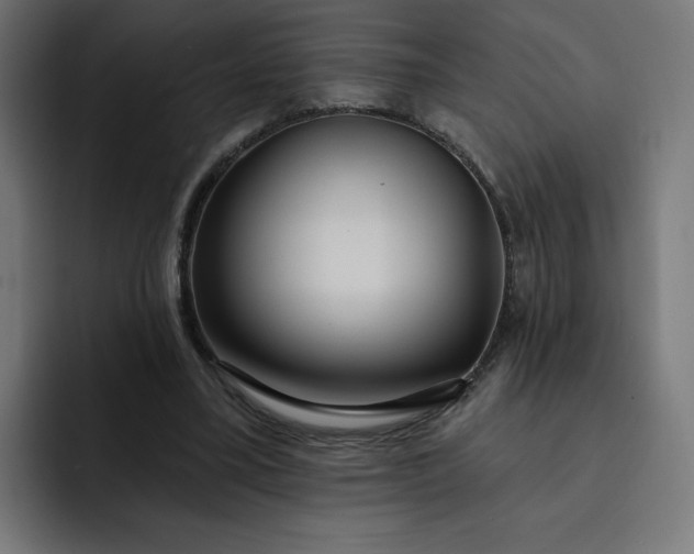 X0000093250395200710101444