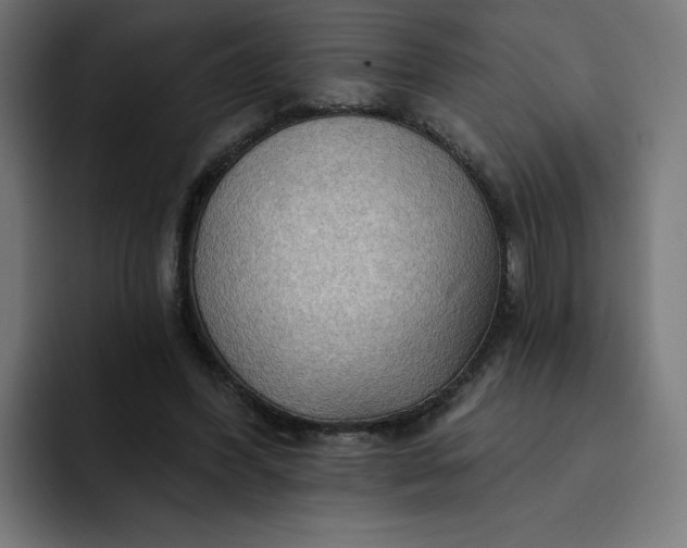 X0000093250396200710101444