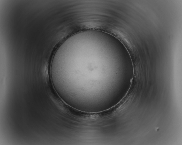 X0000093250398200710101444