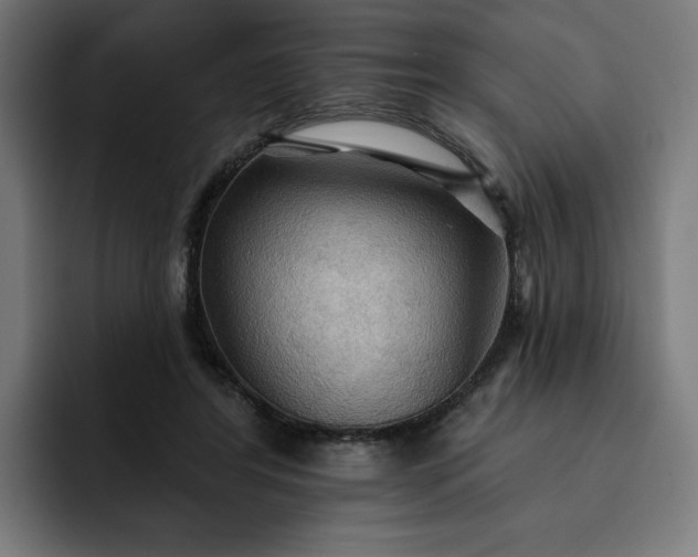 X0000093250404200710101444