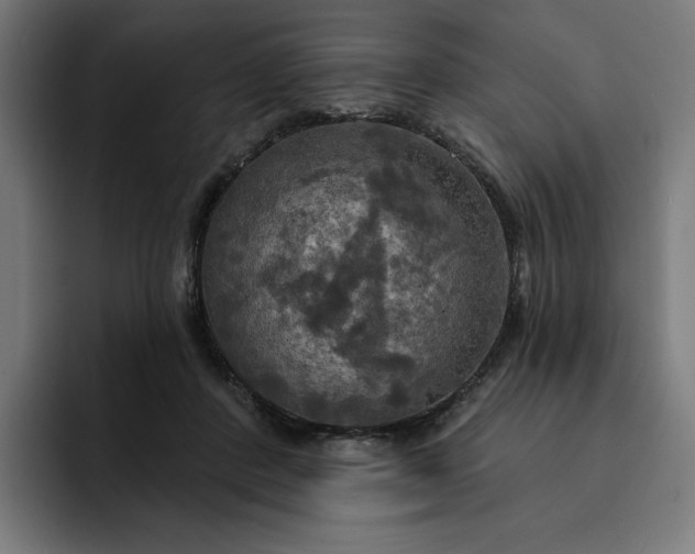 X0000093250408200710101444