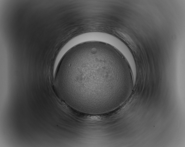 X0000093250409200710101444