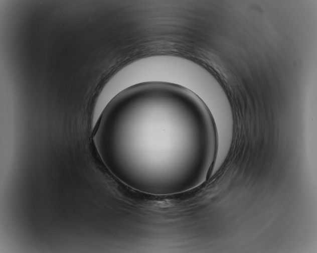 X0000093250411200710101444