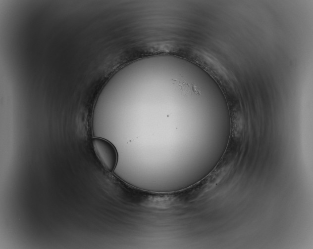 X0000093250414200710101444