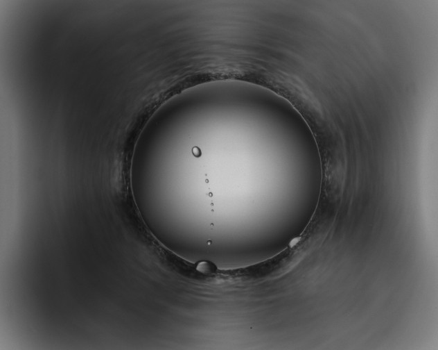 X0000093250416200710101444