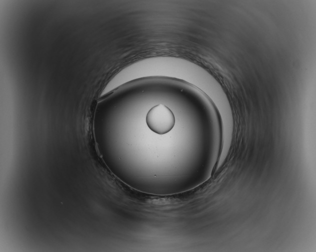 X0000093250417200710101444