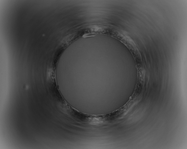 X0000093250419200710101444