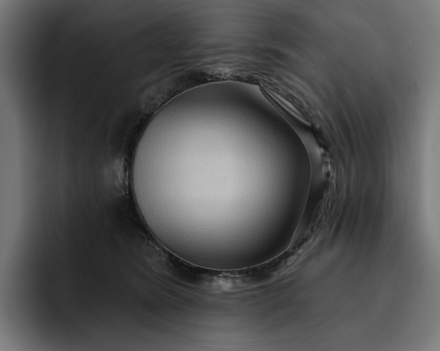 X0000093250420200710101444