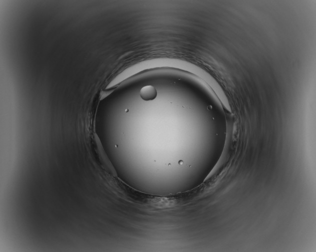 X0000093250421200710101444