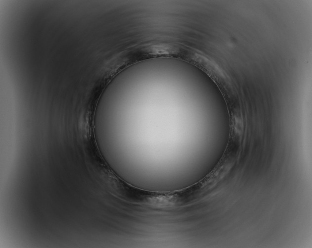 X0000093250422200710101444