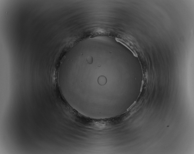 X0000093250423200710101444