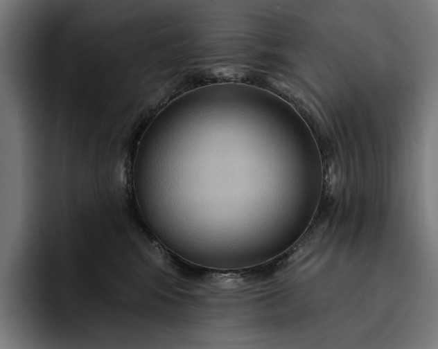 X0000093250424200710101444