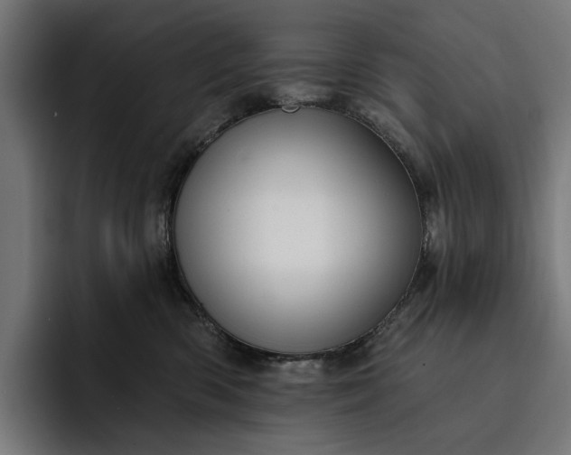 X0000093250426200710101444