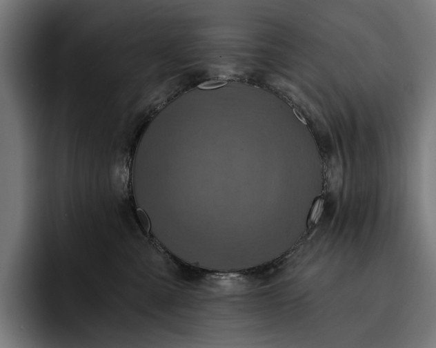 X0000093250427200710101444