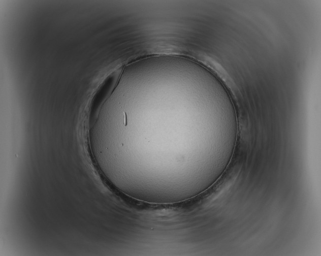 X0000093250433200710101443