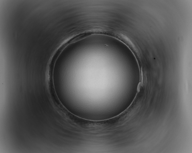 X0000093250435200710101443