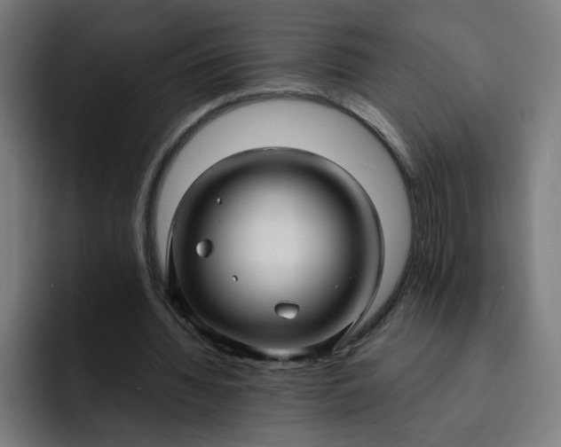 X0000093250436200710101443