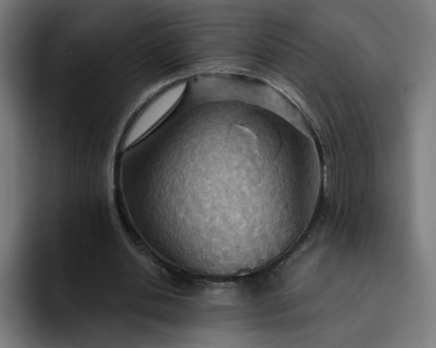 X0000093250438200710101443