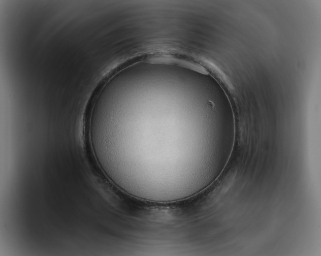 X0000093250439200710101443