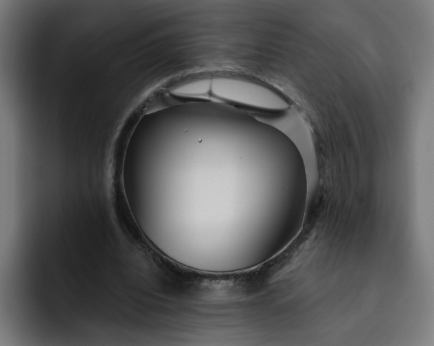 X0000093250440200710101443