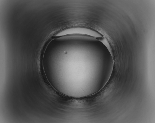 X0000093250442200710101443