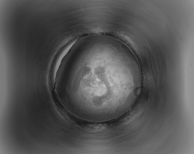 X0000093250443200710101443