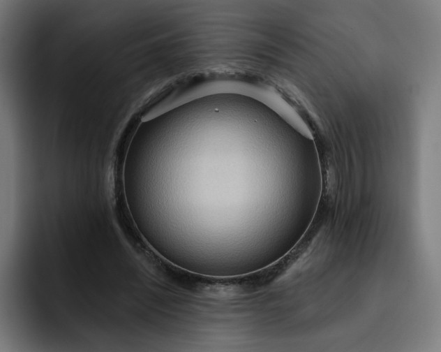 X0000093250444200710101443