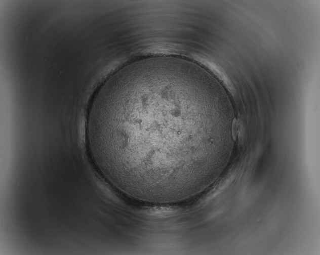 X0000093250445200710101443