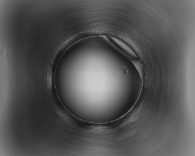 X0000093250446200710101443