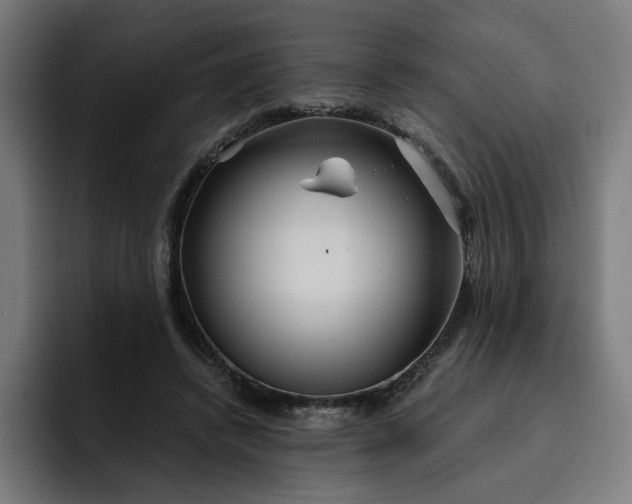 X0000093250448200710101444